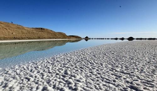 1503625669427017929.jpg timg.jpg