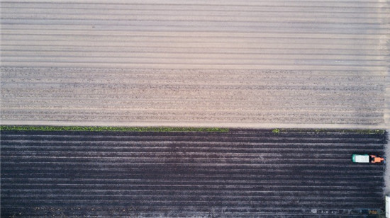 1504504644964006085.jpg 3.jpg