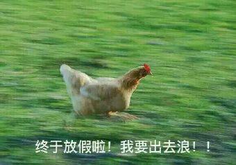 1505019213966032954.jpg 图片3.jpg