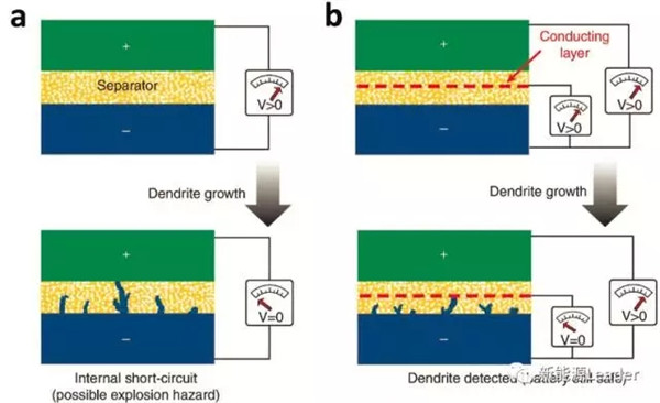 1505275377303073305.jpg 1.webp_副本.jpg