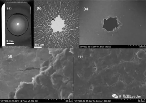 1505870448767391437.jpg 5.jpg