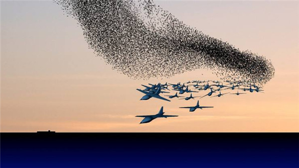 1506577374939028887.jpg timg.jpg