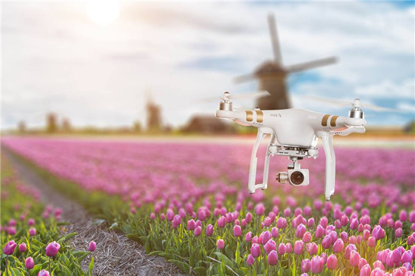 1506665635483089320.jpg timg.jpg