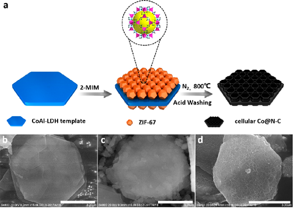 锂硫电池正极材料研究新进展 锂硫电池正极材料研究新进展