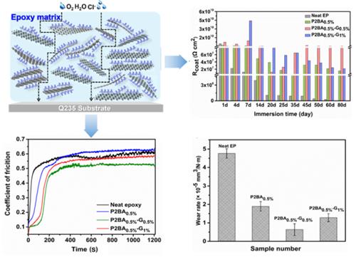 宁波材料所在石墨烯分散及其多功能有机复合涂层的制备方面取得进展g 宁波材料所在石墨烯分散及其多功能有机复合涂层的制备方面取得进展