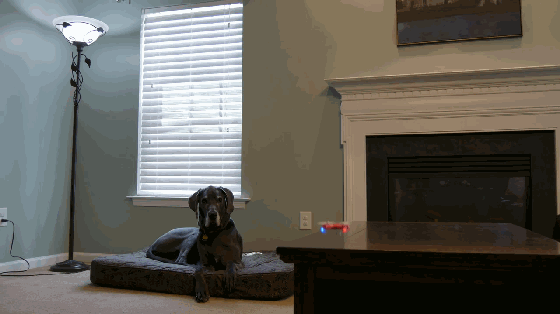 世界上最小的无人机 还能帮你来自拍 世界上最小的无人机 还能帮你来自拍