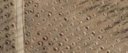 无人机在林业管理中的应用及解决方案 无人机在林业管理中的应用及解决方案