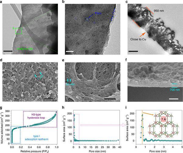 氢代石墨炔作为二维碳基柔性电极在锂电和钠电中的应用
