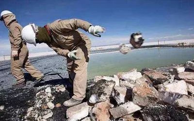 1516584308390003538.jpg 4.jpg