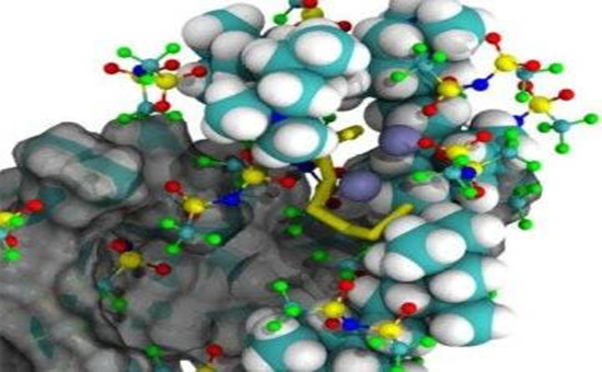 理论与实验结合 建立一种新型聚合物锂硫电池