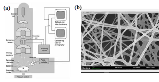 1522807164746048552.png 1.png