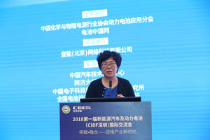 中国有色金属工业协会徐爱东：新能源汽车发展对镍钴市场的影响