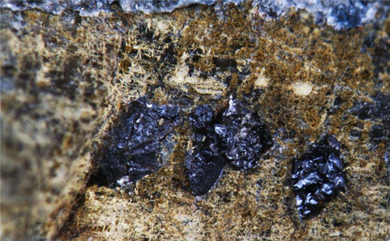 1529169690189067080.jpg timg (7)_副本.jpg