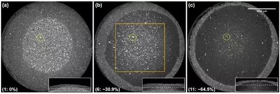 1529560109183059322.jpg 640.webp (4).jpg