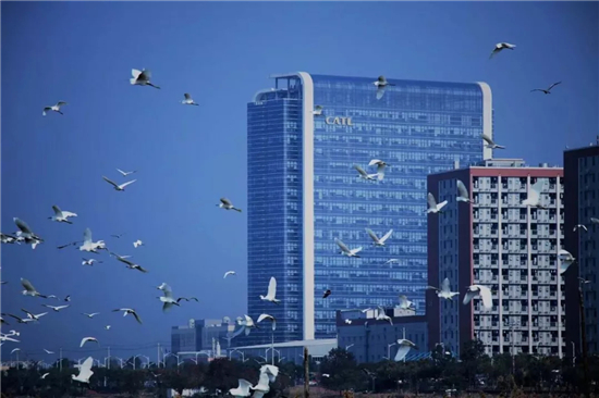 1531187368774079364.jpg 宁德时代.webp_副本.jpg