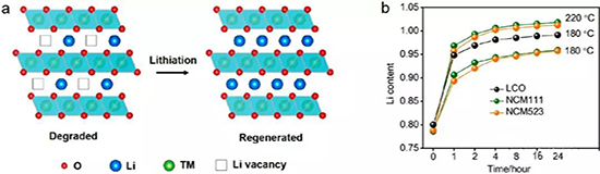 1531303394735003242.jpg 斟酌斟酌.jpg