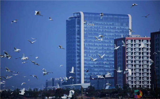 1531725468666044515.jpg 679c94dda943a877aae401f23d4c93bf_副本.jpg