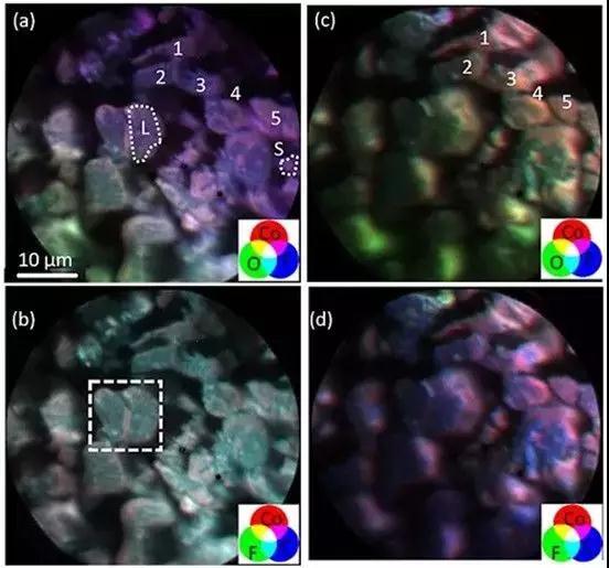 1532335256993060760.jpg 201807231336200521.jpg