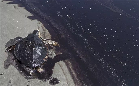 1533695887954072274.jpg 1533690450567377.webp!w720.jpg