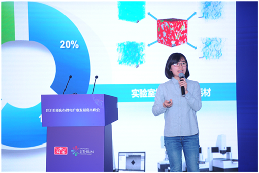 300+精英大咖汇聚 共论锂电产业新发展 2018重庆市锂电产业发展资本峰会隆重召开