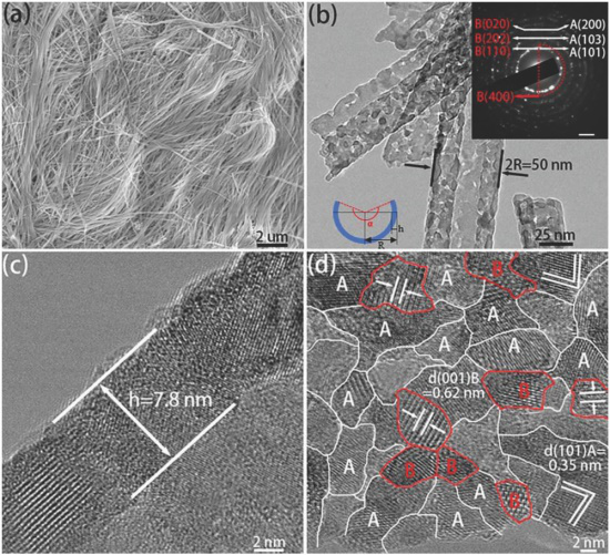 一维开放二氧化钛纳米管用于快速和长寿命钠离子电池