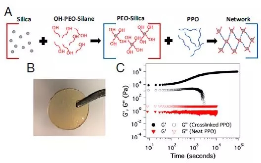 锂金属负极近期学术进展精选 锂金属负极近期学术进展精选