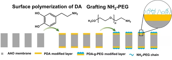 锂金属负极近期学术进展精选 锂金属负极近期学术进展精选
