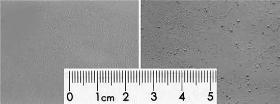 锂电池极片缺陷图谱(一) 锂电池极片缺陷图谱(一)