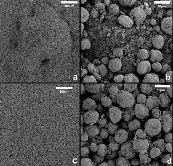 锂电池极片缺陷图谱(一) 锂电池极片缺陷图谱(一)
