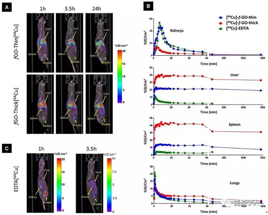 谈一谈石墨烯基材料的安全性问题(未雨绸缪,关系你我!) 谈一谈石墨烯基材料的安全性问题(未雨绸缪,关系你我!)