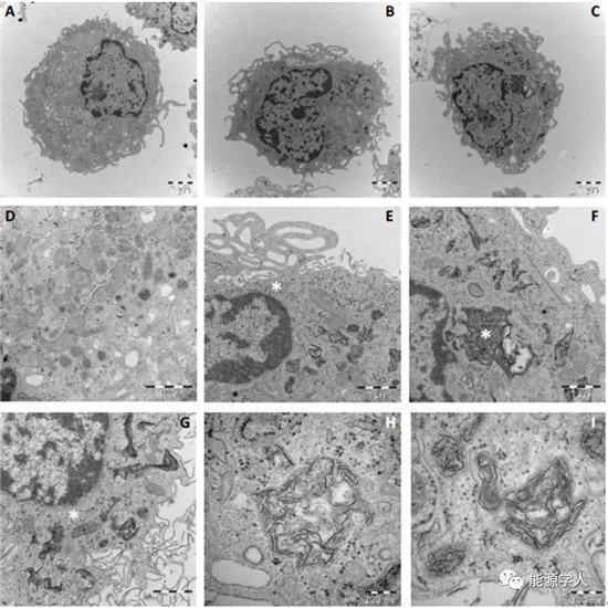 谈一谈石墨烯基材料的安全性问题(未雨绸缪,关系你我!) 谈一谈石墨烯基材料的安全性问题(未雨绸缪,关系你我!)