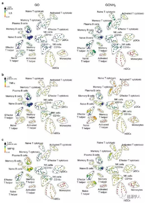 谈一谈石墨烯基材料的安全性问题(未雨绸缪,关系你我!) 谈一谈石墨烯基材料的安全性问题(未雨绸缪,关系你我!)