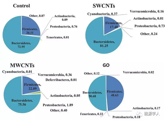 谈一谈石墨烯基材料的安全性问题(未雨绸缪,关系你我!) 谈一谈石墨烯基材料的安全性问题(未雨绸缪,关系你我!)