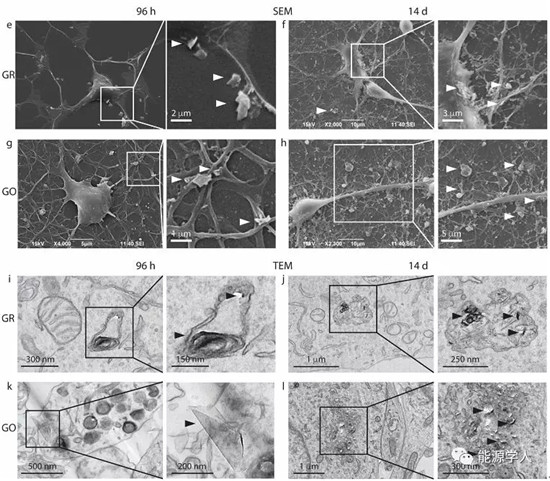 谈一谈石墨烯基材料的安全性问题(未雨绸缪,关系你我!) 谈一谈石墨烯基材料的安全性问题(未雨绸缪,关系你我!)