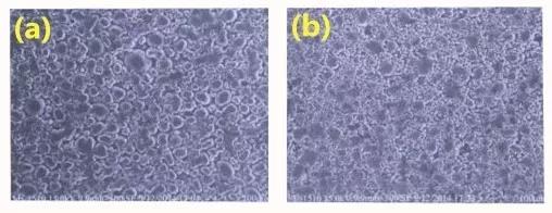 如何合理提高三元材料极片的压实密度? 如何合理提高三元材料极片的压实密度?