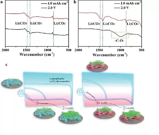 AM: 褶皱Ir纳米片包裹多孔纳米纤维用于长寿命锂二氧化碳电池 AM: 褶皱Ir纳米片包裹多孔纳米纤维用于长寿命锂二氧化碳电池