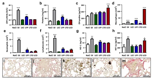 电池安全之LiCoO2和三元正极材料的毒性 电池安全之LiCoO2和三元正极材料的毒性
