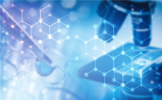 高温型锂锰电池正极材料的研究