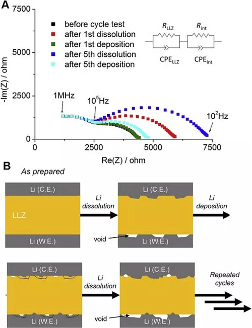 清华大学张强Chem综述:固态电解质与金属锂“联姻”中的能源化学