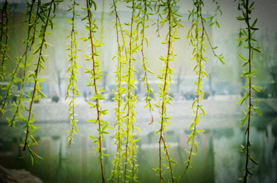 2.9-2019行业调研又一年 走进动力电池企业&主机厂