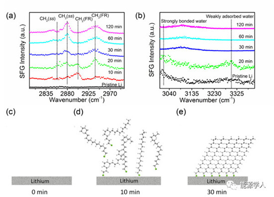 单分子层自组装保护实现金属锂负极的混浆涂布制备