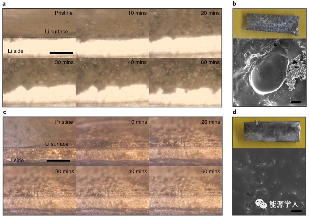 内置快速界面传输的固态聚合物电解质用于二次锂电池 内置快速界面传输的固态聚合物电解质用于二次锂电池