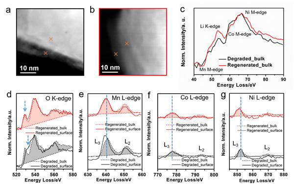 让锂离子电池回收变得更高效:低温共晶熔盐法直接再生锂电池正极