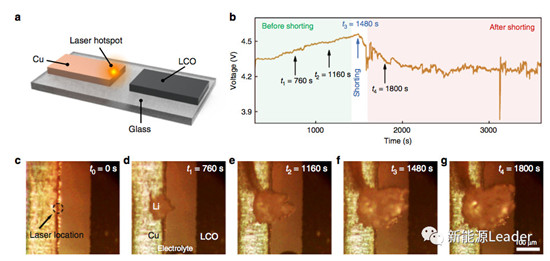 What?局部高温还能引起Li枝晶生长?