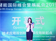 中关村储能产业技术联盟秘书长刘为：储能产业开启规模化应用新历程