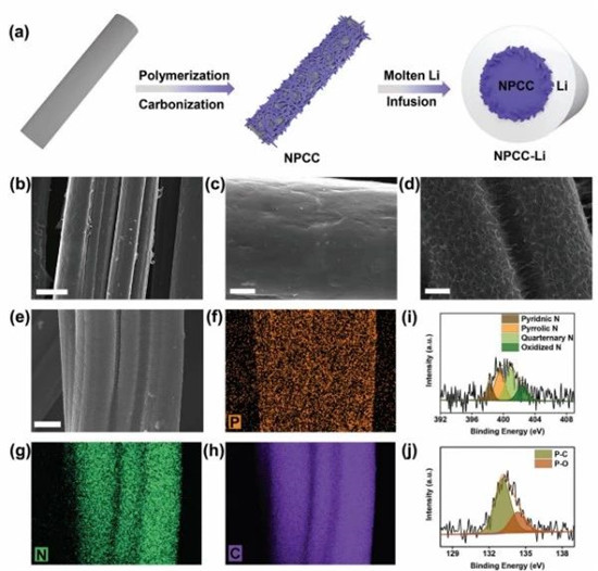 山东大学AM:一招N、P共掺杂改性3D碳骨架制备稳定的3D锂金属负极