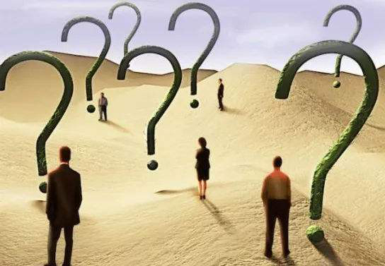 反思与责任：猛狮科技的自救之路