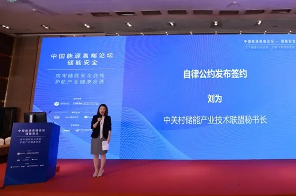 《关于推进储能产业安全、健康、可持续发展的行业自律公约》正式发布 《关于推进储能产业安全、健康、可持续发展的行业自律公约》正式发布