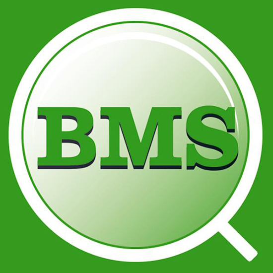 电动汽车召回凸显 BMS管理重要性 电动汽车召回凸显 BMS管理重要性