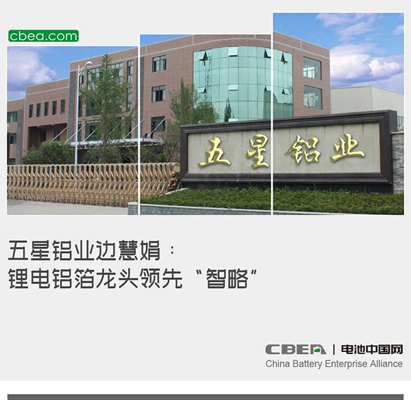 五星铝业边慧娟：锂电铝箔龙头领先“智略”